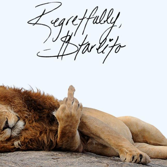 Another Look: Starlito, 'Regretfully'